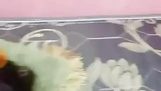 نينا ذات الثدي الكبير تنفجر حليبًا في مشهد صريح