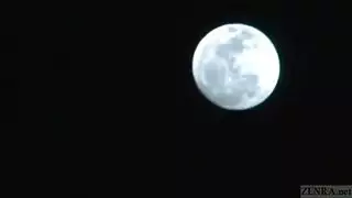 مزيت المجري