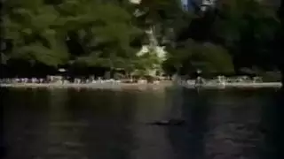 حيوان وانسان نكاح