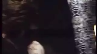 أفلام إباحية: فتاة قرية تمارس الجنس الفموي وتتلقى القذف الداخلي من سائقها