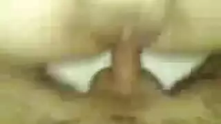 إباحية سيبيل كيكيلي الحيوانية