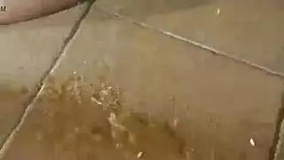 الرجل فاتح كس
