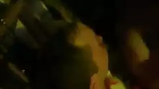 شرسة في نيك