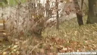 تشيكي شمام
