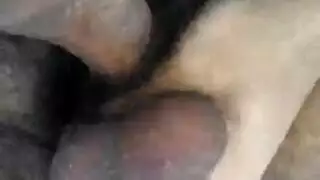 زيك من الجعبات