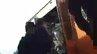 الكلبة بوف الهرة الكبيرة