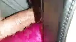 الهرة مزدوجة شعر مثليه مقدمة