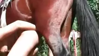 شاهد سكس حيوانات حصان مع قحبه تنيك نفسها