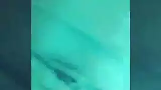 نيك كبيرات سمنات
