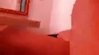 جنس حيواني: نساء تركب أكراش الكلاب
