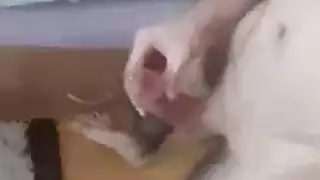 نيد سودامراهقه