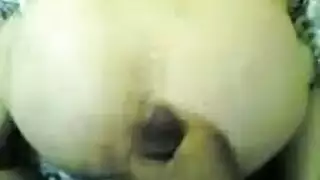 نقاب پوش گربه