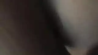 سكس الدببة التلاتة