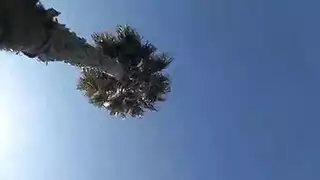 خيال إباحي: سمية تغوي رجل أمها