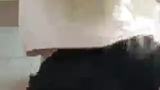 فارس الحي وأناستازيا يمصان قضيبًا صلبًا معًا