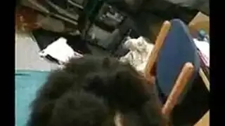 مثليات شقراء ينتقلن من قضيب إلى دسار في مشهد إباحي مثير