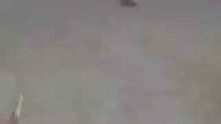 افلم سكس برازيلي مع زنجي