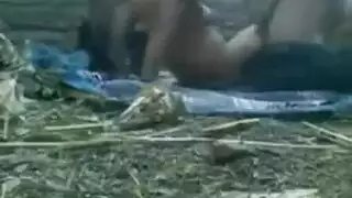 ينيكهى وتزرب