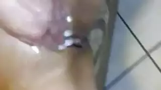 كلاب شقراوات يتم ضرب مهوياتهن