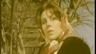لقد دمروا مهبلي الضيق بعنف