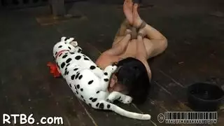 قضيب الكلب في الحركة: كلب ينيك فتاة مستعدة في البورنو