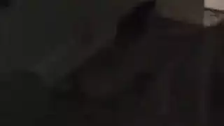 سكي الممثلة غادة عبد الرازق