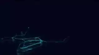 أم بلوندية تحصل على قضيب ابنها عميقاً في مؤخرتها