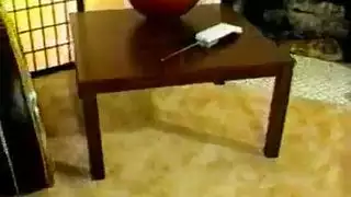 نبات الفزون