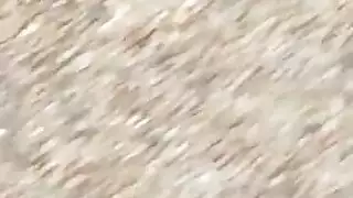 صور سكس ساخنه جداk281adc4pf8s