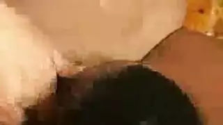 مشهد ثالوث: شابين وفتاة إباحية صريحة