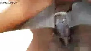 مايا وودز المُفرطة في الإثارة تتوسل لعمل xxx قاسٍ