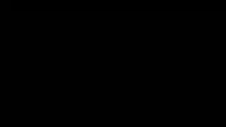 نيك زبين ف الطيز والكس