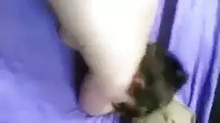 ديوث يشرب الخمر ومراته تتناك وهو يستمتع