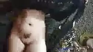 رقص سوري خاص سكسي