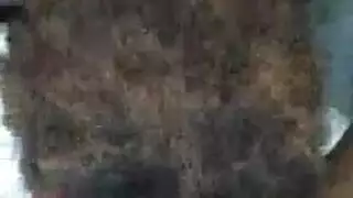 فتاة سمراء تتمدد بقضيبين أسودين سميكين