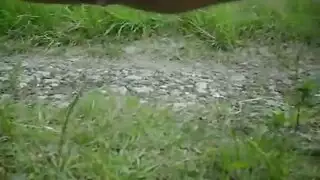 يضربها بجنون