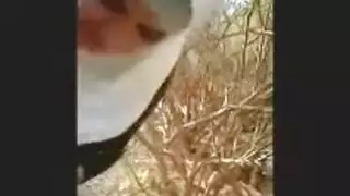 محجبة سروال قذف المنوي