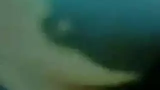 قدم جاي كاي نفسها وبصرف النظر عن بعض التقبيل العاطفي، كانت تعرف أنها تريد أن تمتص الديك