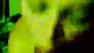 نيك قصرات جملات مقابل المال