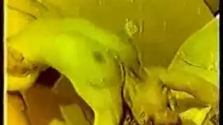 مراهقة ساخنة مهووسة بكسيها