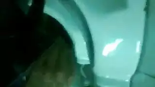 الجنس النرجسي