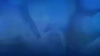 ثنائي جنسي إكس إكس إكس: كريستي لوف تمارس الجنس بقوة بينما تمتص بطلًا آخر
