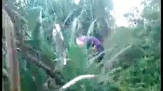 حقل الأحلام: بورن تحت السماء المفتوحة