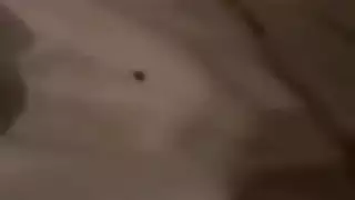 مص زنا: زوجة تخدم عمود رجل غريب كبير