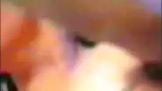 حيوانات الكلب