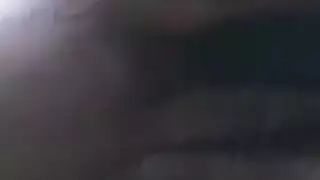 شوجر دادي