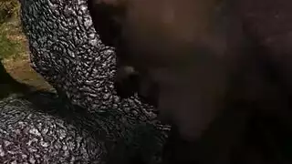 مرئيات إباحية: كس الفتاة السودانية الساخنة من كل زاوية