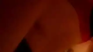 أوغاريا حيوانية: الكلب ينضم لمتعة حظيرة الحيوانات
