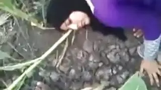 مصريه وسعودي في امريكا