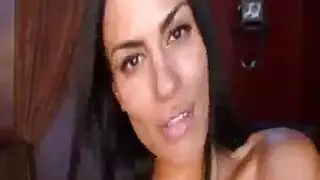 الهرة الأكل نافذة او شباك الكوبية